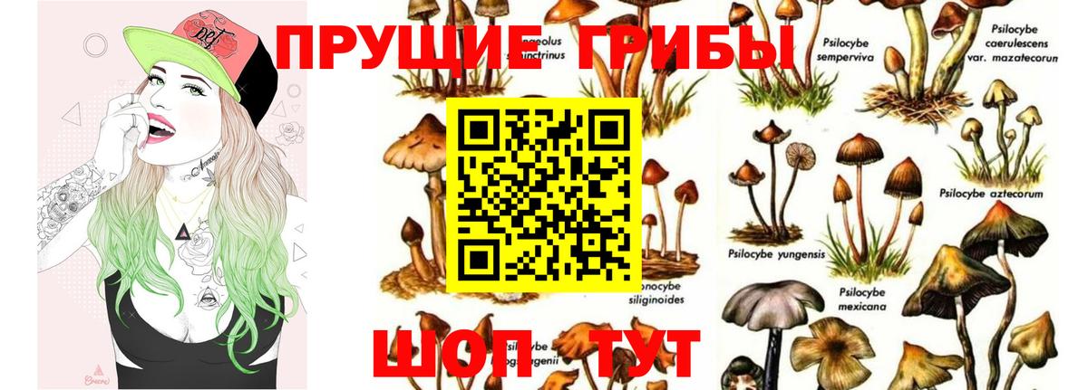 Псилоцибиновые грибы MAGIC MUSHROOMS Можайск